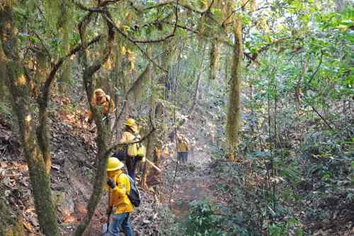 Controlan incendio forestal de San Simón de Guerrero; Probosque realiza trabajos de liquidación del fuego